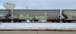 IC 799493
